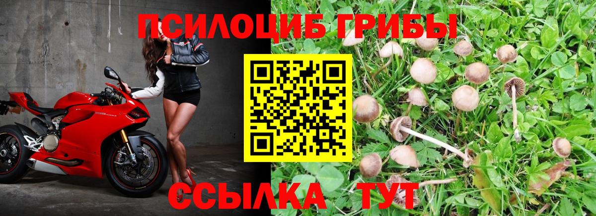 Псилоцибиновые грибы прущие грибы  Вход с VPN  Прокопьевск 