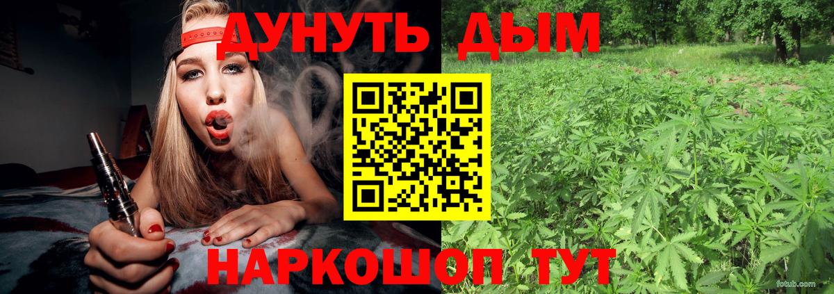 Прокопьевск  Бошки Шишки конопля  Канабис AK-47  МАРИХУАНА AK-47  Вход с VPN 